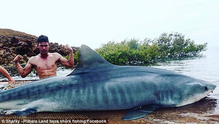 ����19���������3Сʱ��4�׳��������ϰ�