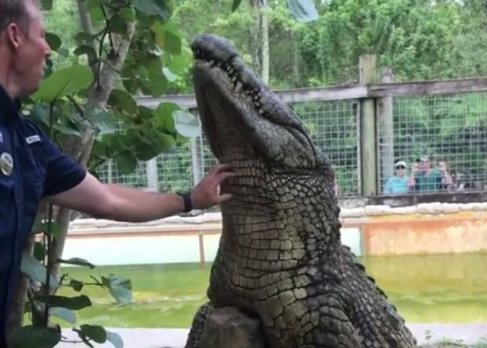 ��������������������⹫԰������ɦ�������� ��ѱ�ɰ���С��