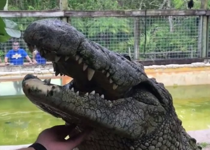 ��������������������⹫԰������ɦ�������� ��ѱ�ɰ���С��