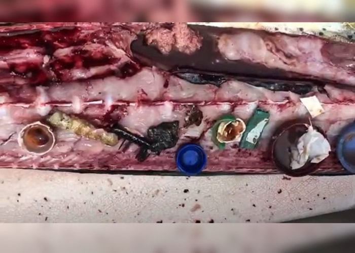 �ʿ���Ǻ󣬿ɼ��������ܵ��ܽ���Ʒ��