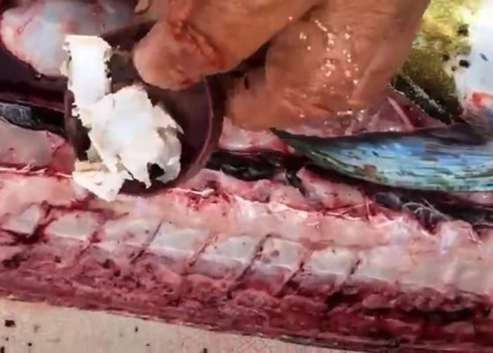 ���а���������ƿ�ǡ�