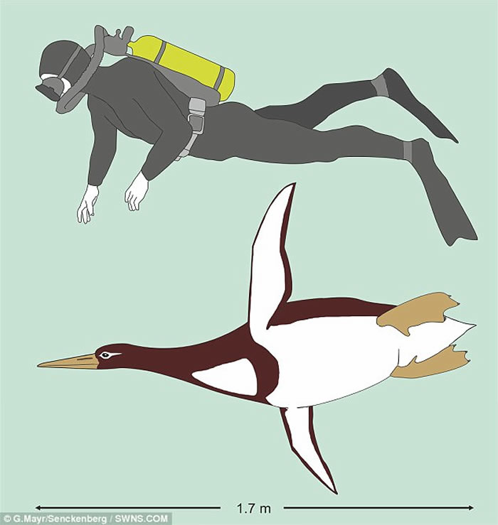 ����������6000����ǰ������컯ʯ ��������߶�