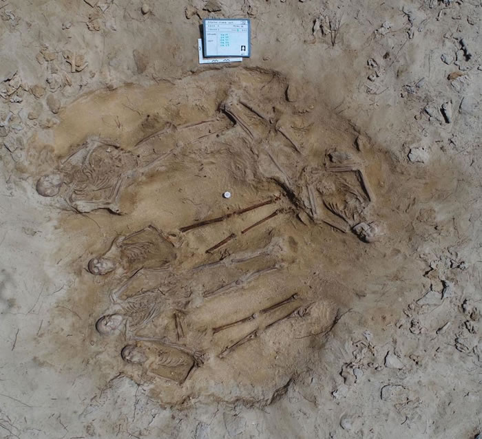 �������ʹ�ά�ǺŴ��ѵ������߲�ͬ�����·��ֵĶ���ڣ������������ᣬû�б�����ؼ��� PHOTOGRAPH COURTESY ALISTAIR PATERSON