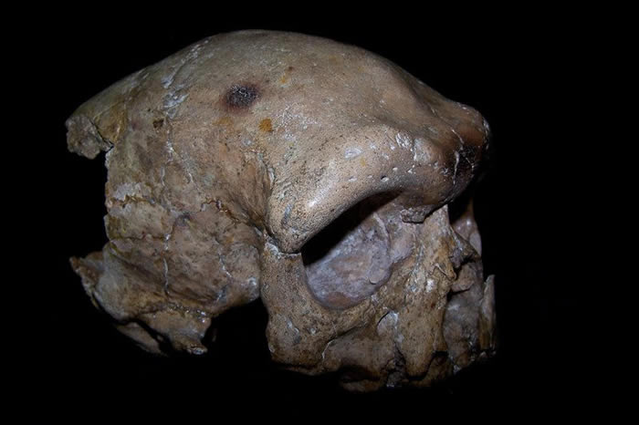 �й��������ֵĴ�����ͷ�ǻ�ʯ