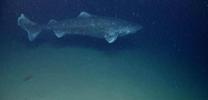 ����������512�����ĸ�������