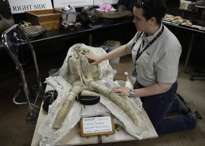 莱杰对发现感到格外兴奋。