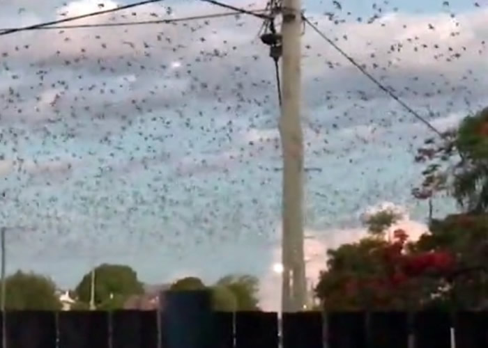 ����˹���д���������Ϯ������ʱ���Ļ�ڱ���ա�