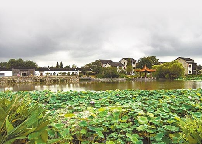 �Ͼ��������������徰ɫ������