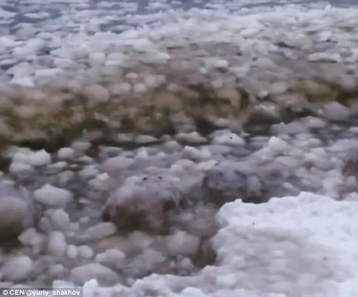 俄罗斯芬兰湾奇景:数千巨型冰球聚海岸