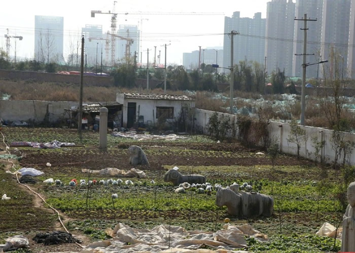 �������������ص����ﱣ����λ������Ĺ����Ĺ����Ϊ���� ����֣����ƻ��������