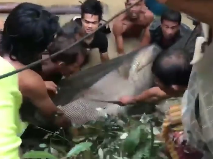 ���������ǳ̩���ϲ������ظ� ����6Сʱ����