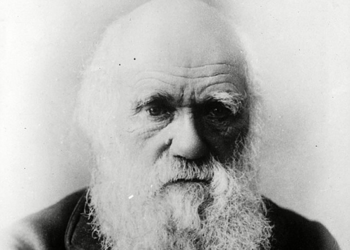 ����ģ�ͼ��������������Դ���ֳ�����������