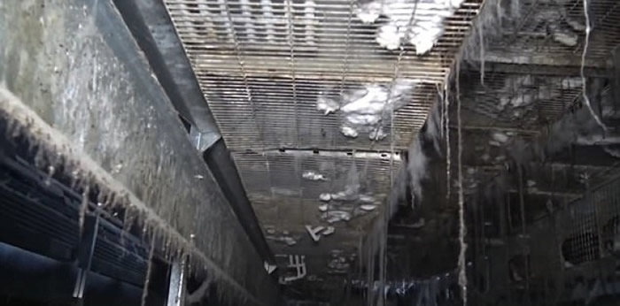 屠房的环境极为恶劣。