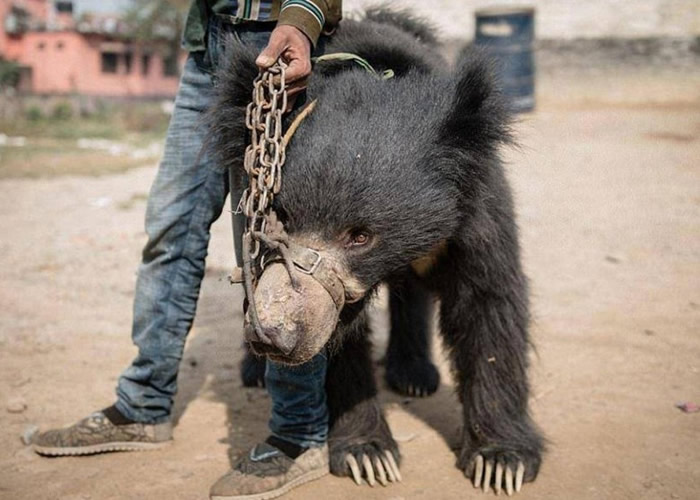 ���ܵı��ӱ�����������