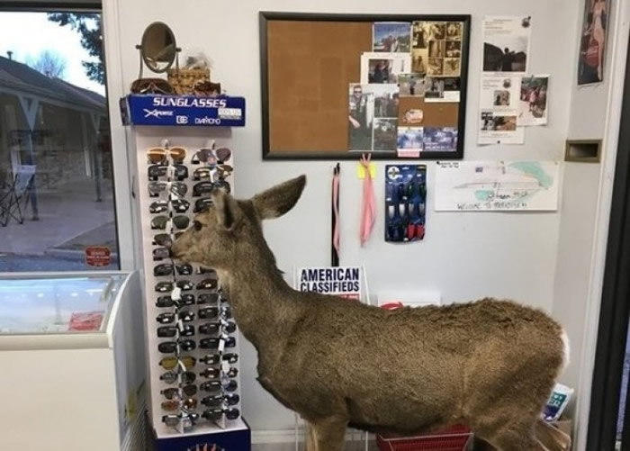 MamaǳרעؿŻϵ̫۾