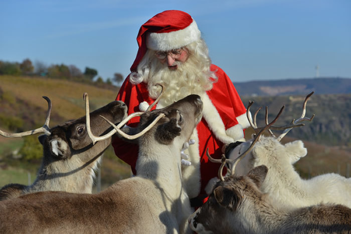 ʥ˹硱ΪԵֻʣһɵѱ¹