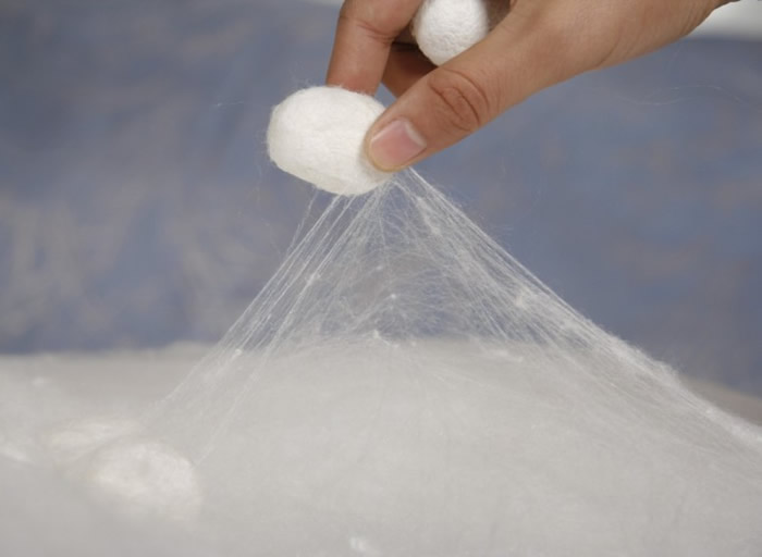 群马县早年的养蚕业活跃,但后来因海外竞争而令养蚕业受挫。