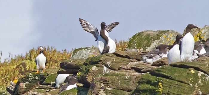 �������ڶຣ����Ϣ��