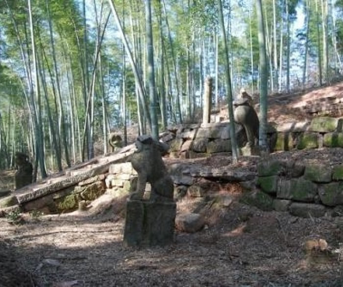 湖南省益阳市桃江县掘出清代一品夫人墓 属晚清湘军将领丁义方之母