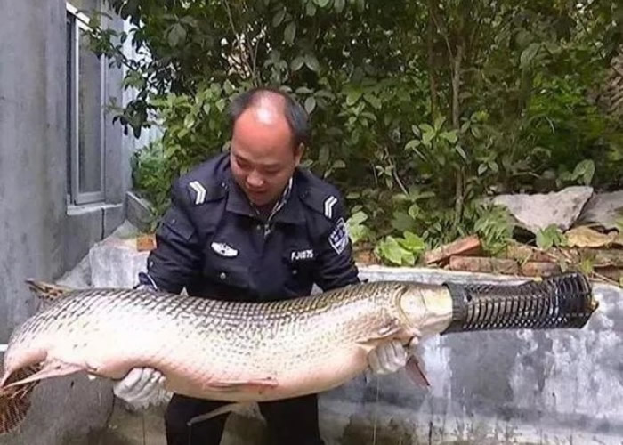 ��ȸ��������1.68�ף���Լ40���