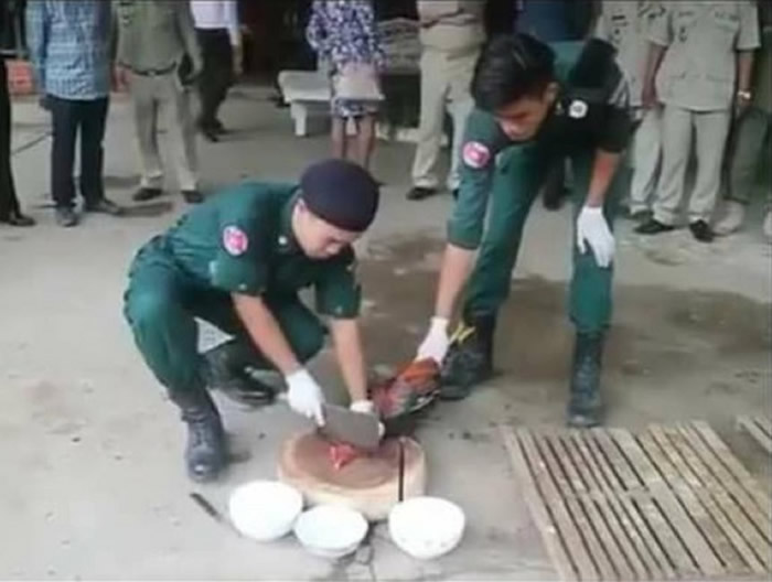 柬埔寨干丹省法院判决当地92只“斗鸡”死刑 鸡肉被警员吃光