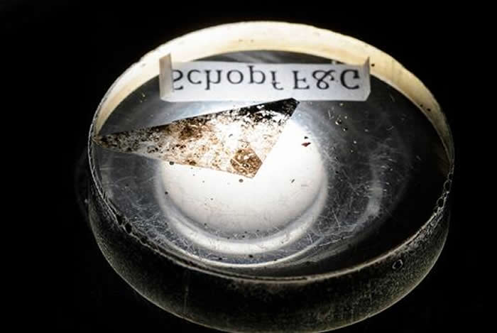 ͼΪ˹ǶʵͼƬʾڰĴʯзֵİ 35 ǰʯĻ֧֬ܡ