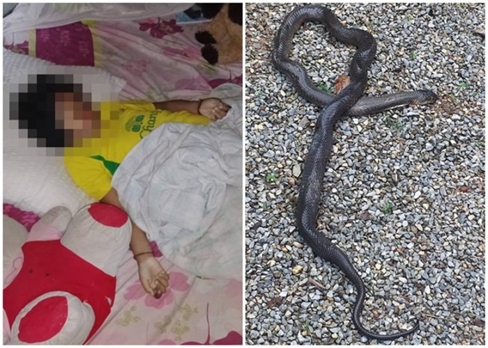 巴帕薇(左图)疑被蛇咬死。