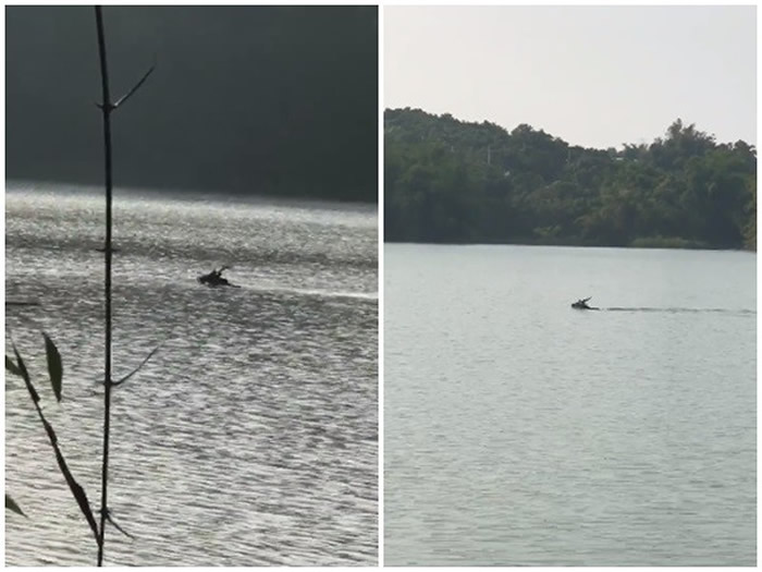 ̨�����ѳ��ڸ��۰�����ˮ�⡰����Ұ����˹��ˮ�֡� �����ԭ����...