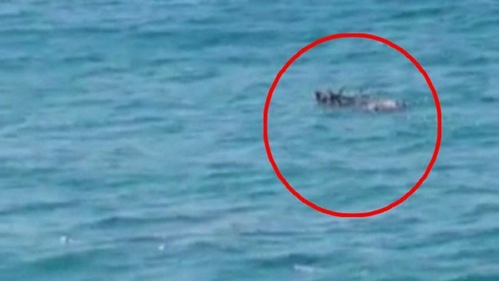 2015��1�£��Ѷ�����ʯ������������÷��¹�����¼�����ͼ�������գ�