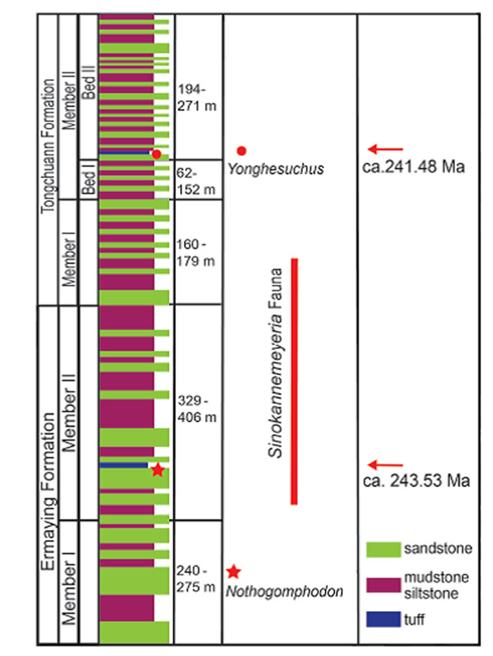 三叠纪高精度锆石测年新进展——中国肯氏兽动物群的时代以及中国陆相中三叠统的底界