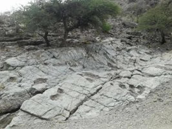 ʷǰĴڣ޲άɽʯϷ־޴ӡ