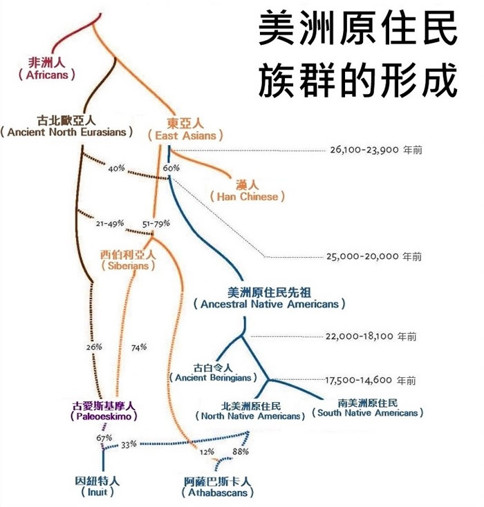 美洲原住民族群的基因年表 DIAGRAM COURTESY BEN POTTER, ESKE WILLERSLEV