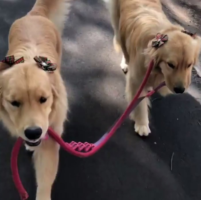 ������ëѰ��Ȯ��û�ҧǣ������ɢ���ÿɰ�