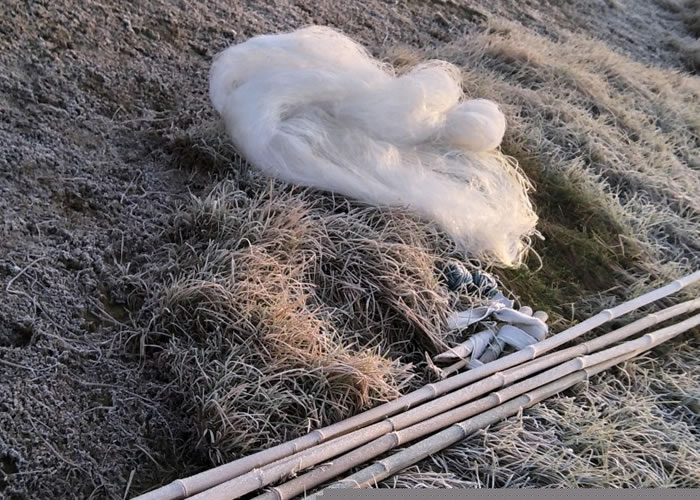 护鸟人员事后将这些捕鸟网拆除清走。