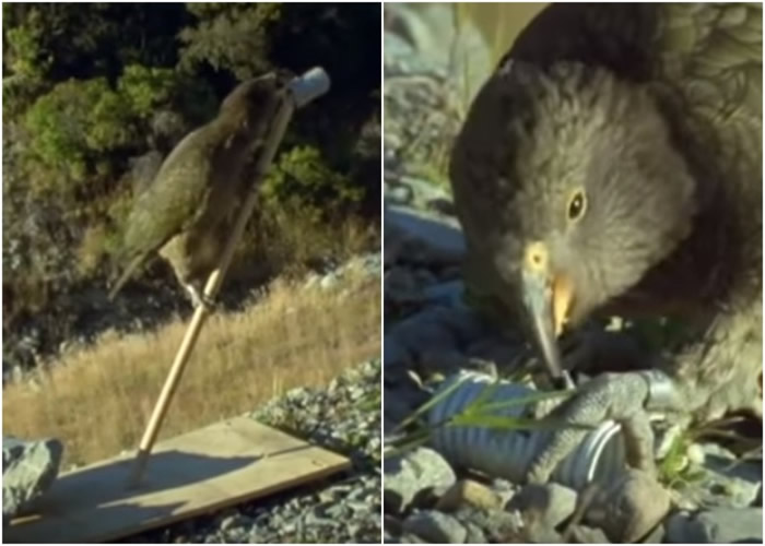 ר�������Ϸ��ѵ���������ıܿ�ѩ��Ͳ��������