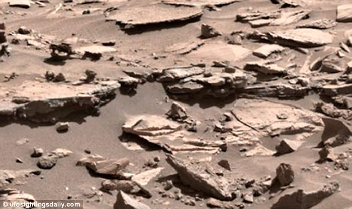 UFO专家称“好奇号”之前拍到某种像长毛蜘蛛猴的生物。