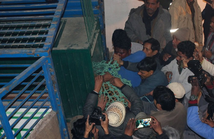 ������Ա��Ұ���Ž��������ߡ�