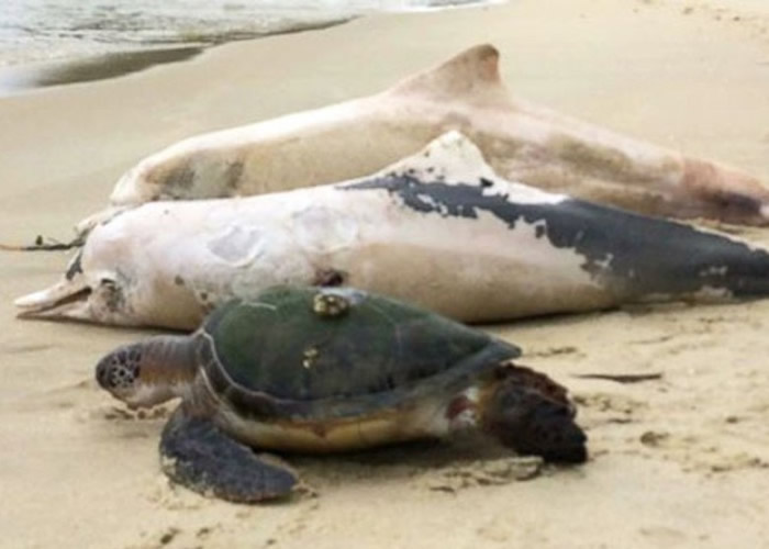 ������Լ����¬40�����н�200����������