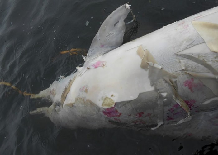 ר�ҷ������ţ����������ھ������