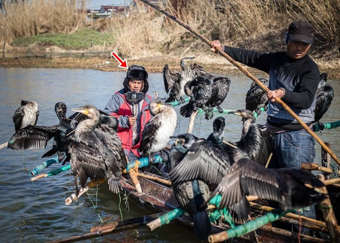 王海(箭头示)约2年前开始进行捕鱼直播。