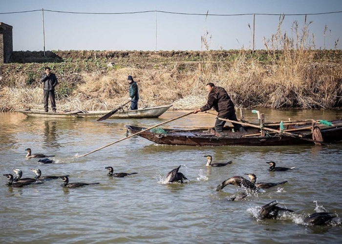从11月到来年2月,王海一家基本在湖面生活。