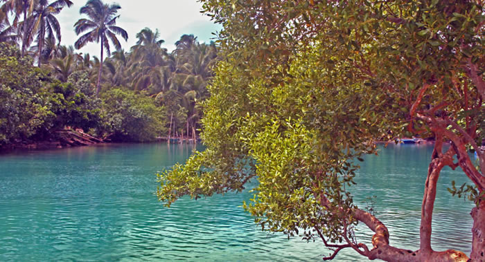 《自然通讯》:研究发现部落中最受尊重和欢迎的是那些擅长讲故事的人