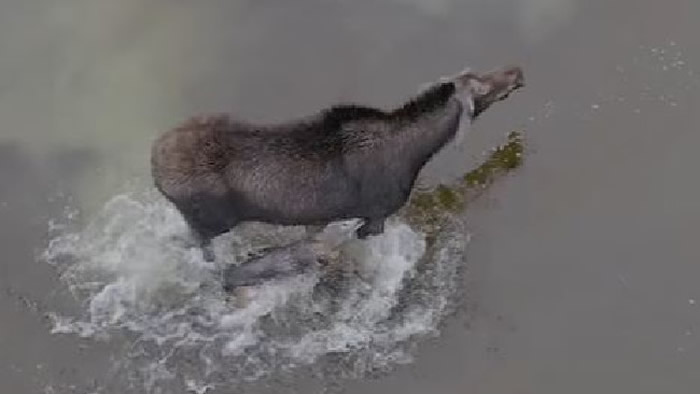 ���ô��˽�����������������ĵ���¹�����ڰ�����ʡ����������ս����