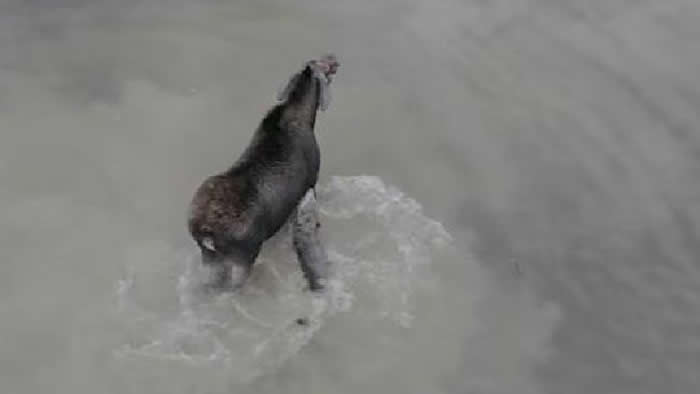 ���ô��˽�����������������ĵ���¹�����ڰ�����ʡ����������ս����