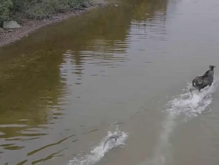 ���ô��˽�����������������ĵ���¹�����ڰ�����ʡ����������ս����