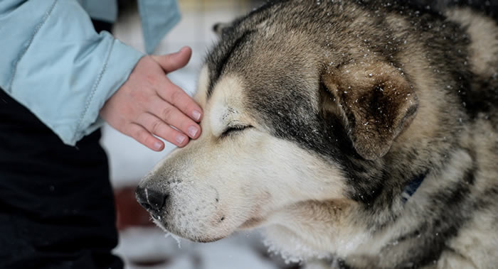 ��Scientific Reports����־������������������