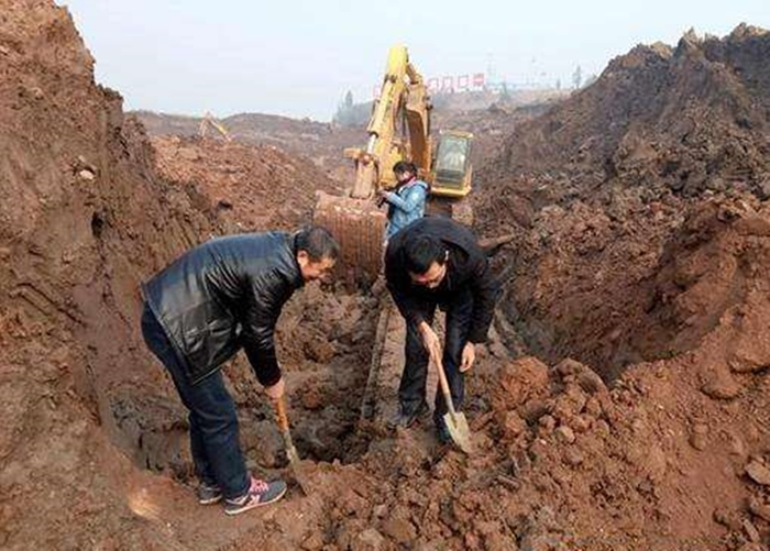 工人意外挖出一截古木。