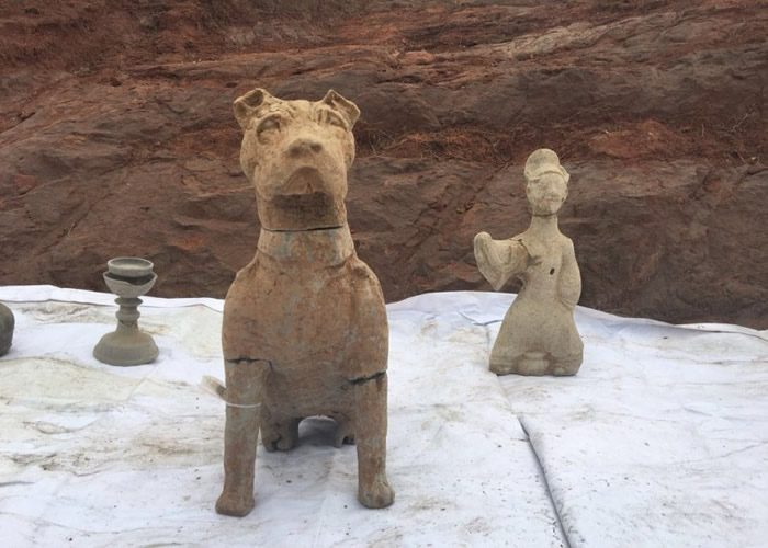 �������չ��ߴ�45���ף��������Ͽ���һ����Ȯ��