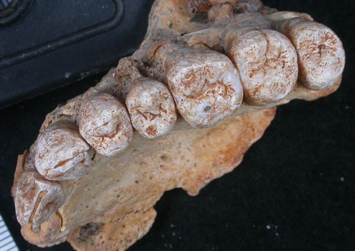 ɫMisliyaѨзַ֮໯ʯ