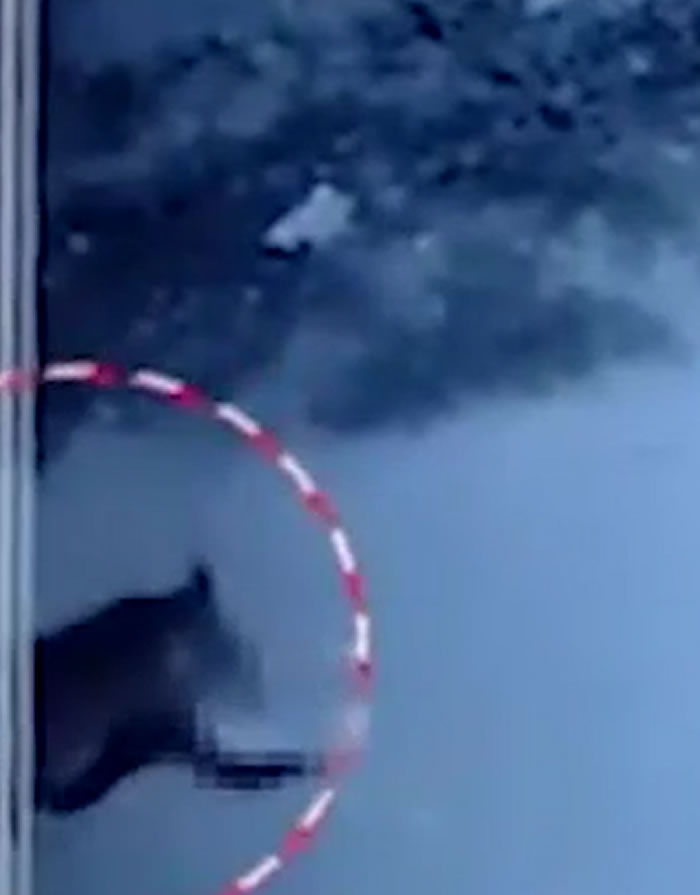 ӡ���е�˹�����14�´�ŮӤ���������������˹�ҧ��